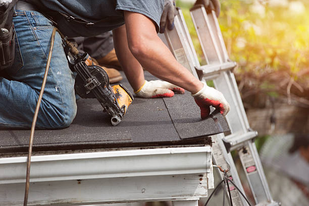 Best Shingle Roofing Installation  in Fallsburg, NY
